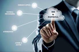 What is the Difference Between HR and Payroll?